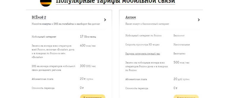 При предоплатной системе