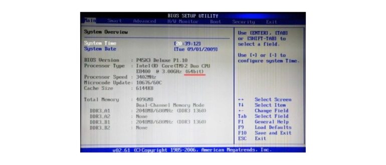 processor