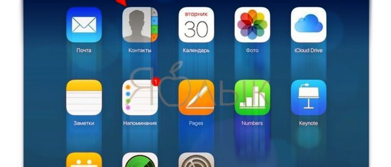 iphone не отображает имена