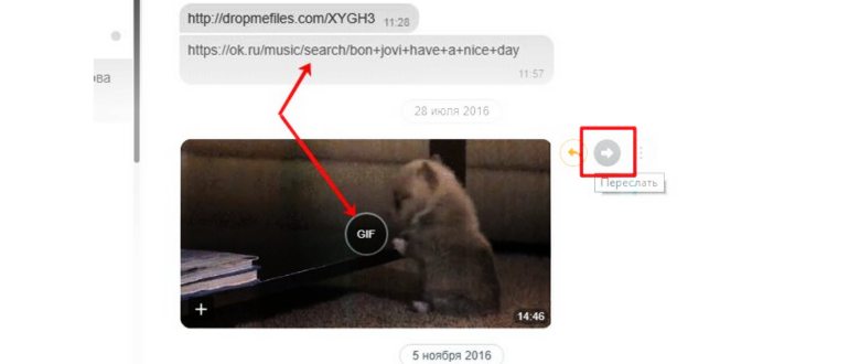 WhatsApp запустил новую функцию «исчезающие