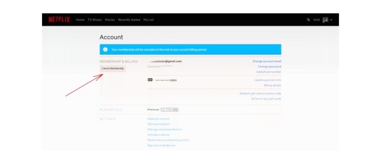 Постоянная работа с Adobe