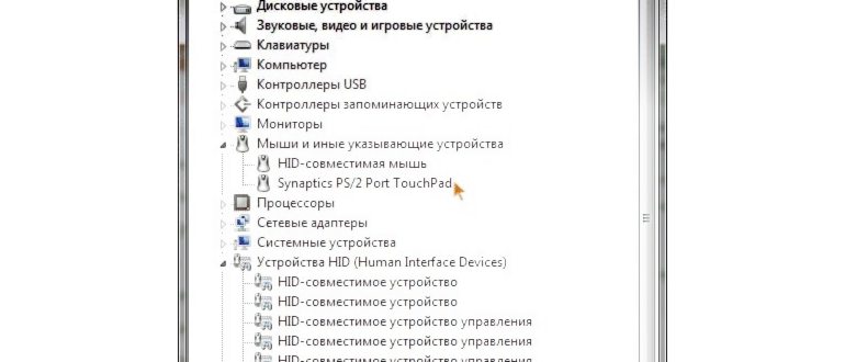 Отключить тачпад ноутбука можно с помощью горячих