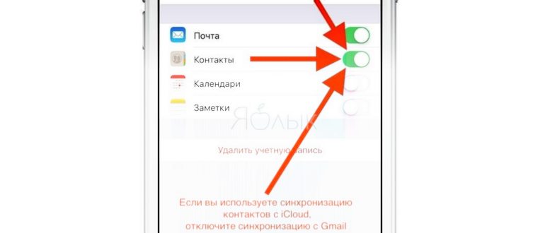 Пропали контакты на Айфоне: основные причины и как