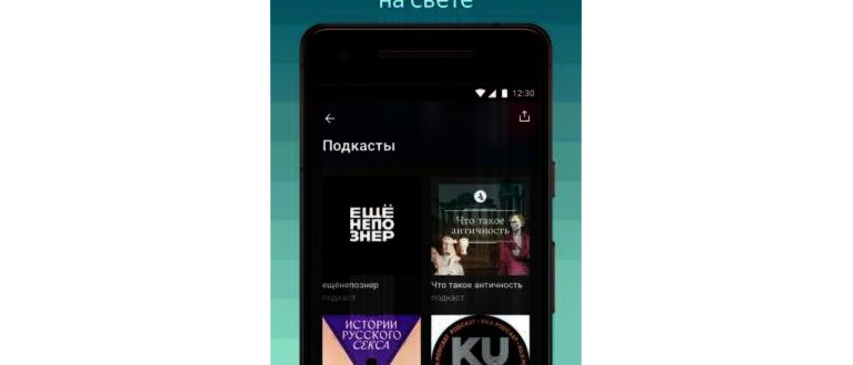 Прикрепленное
