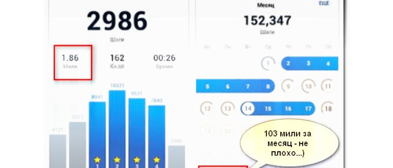Что такое шагомер и как он работает - отвечаем на