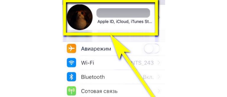 Выйти Apple