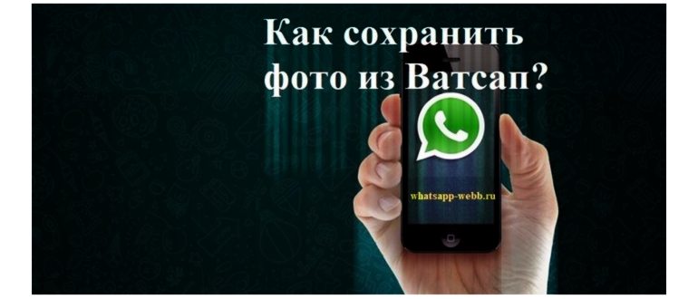 Значение статуса «В сети» в WhatsApp —