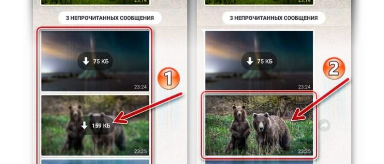 ватсапе сохранение
