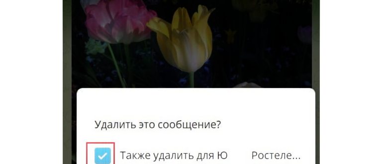 Как сохранить фотографии с