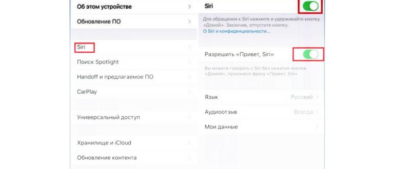 Почему меня не слышит Сири,