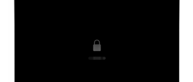 Mac (macOS) не загружается: что