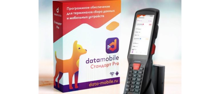 Дата