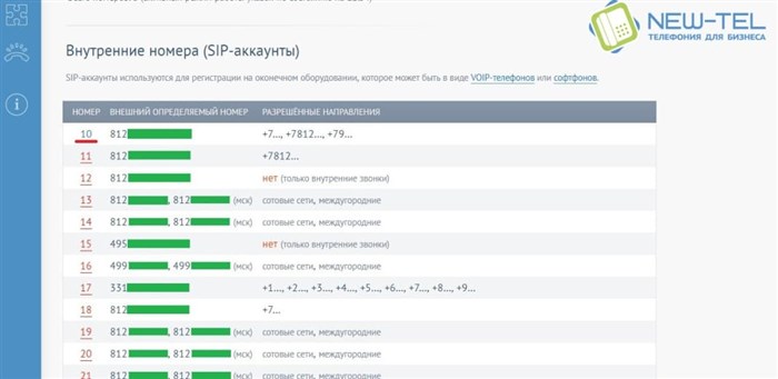 Web-Интерфейс Gigaset - данные об Sip-Аккаунтах в л.к