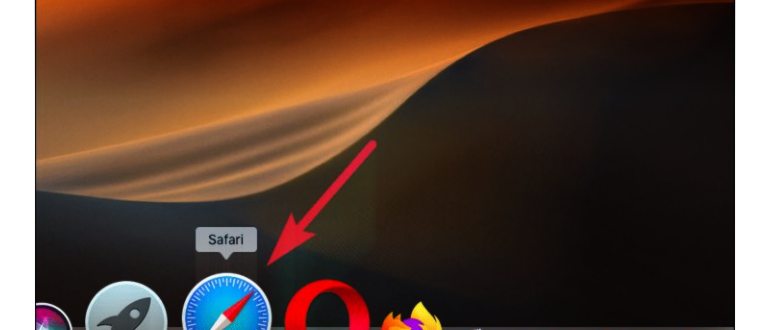 Очистить данные Safari с помощью модуля