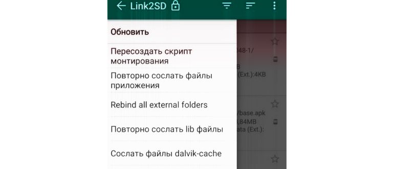 Сотрудник таможенной службы России и её