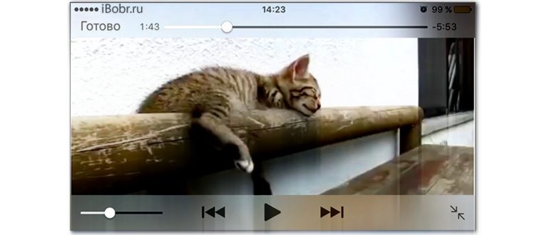 Video Link Lite — бесплатная