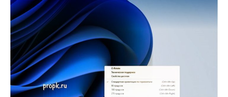 Что такое Отладка (debugging