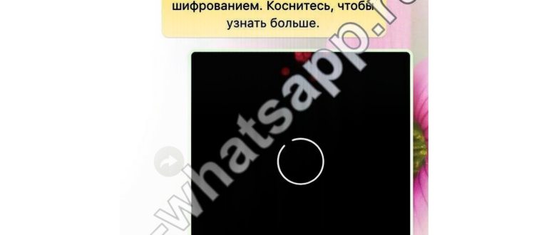 Как вставить видео с YouTube в WhatsApp без