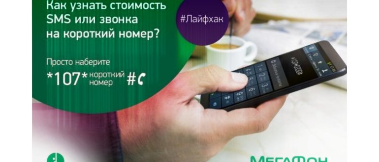 Мегафон Флекс МИР