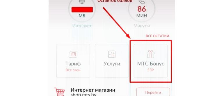 Состояние счета