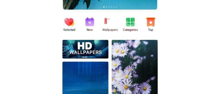 Xiaomi раздел