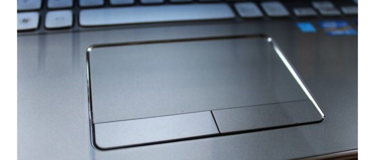 как выделить все содержимое документа или