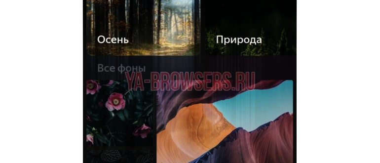Мобильная версия также предусматривает