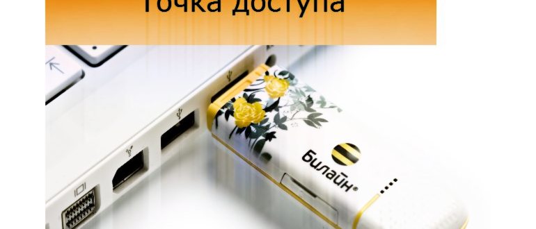 Точка доступа Билайн: как настроить интернет на