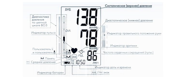 Пульс при тренировке показывается в виде внешней