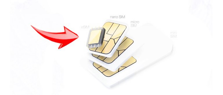 sim601