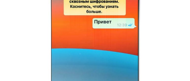 whatsapp,ответов,позволяет