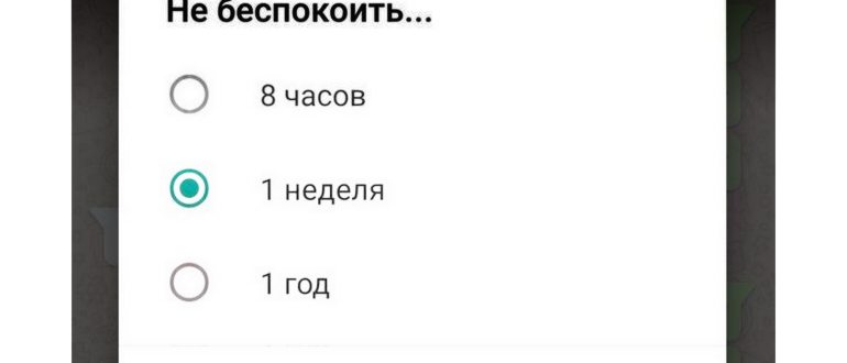 whatsapp,ответов,позволяет,комментариям