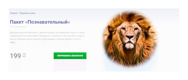 подключить контроллер PS4 к игровой приставке