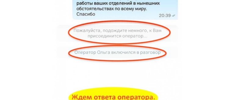 Связаться с