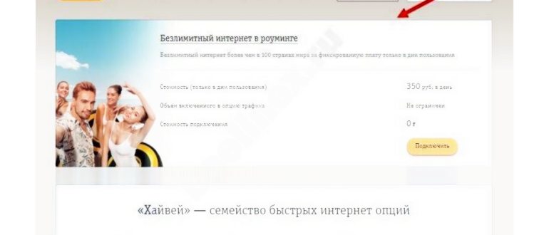 Хотите узнать, как отключить подписки на Билайне?