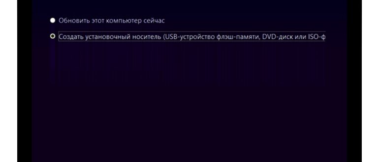 Загрузочная флешка Windows 10 в