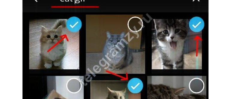 Screenshot_2