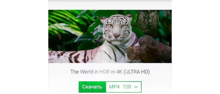Ютуб на