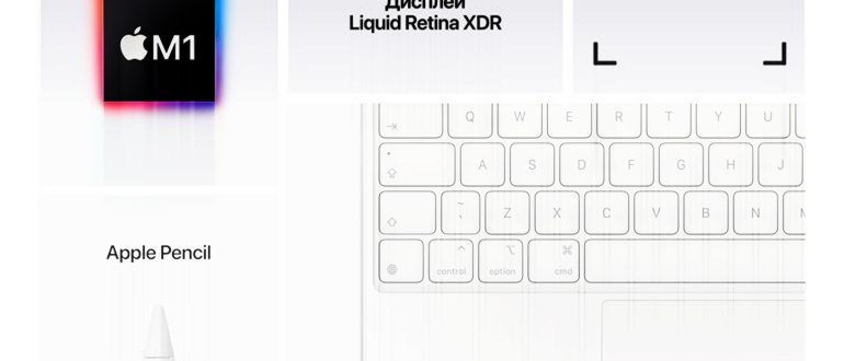 stilus apple ipad pro 12