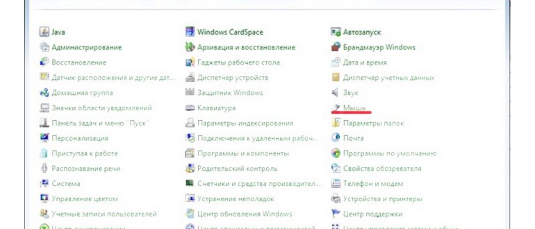 Чем открыть RTF