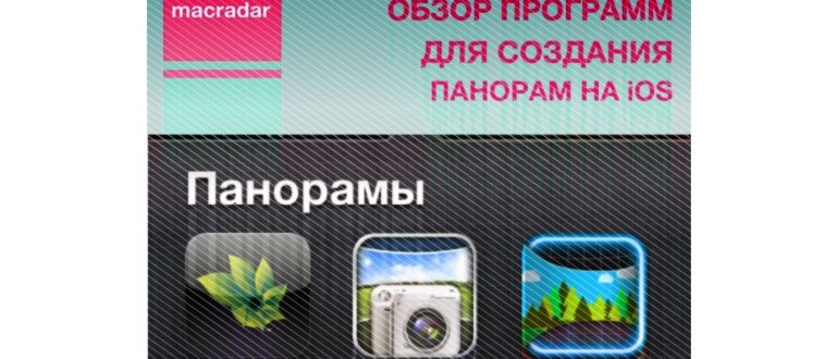 Как определить, что за гриб перед вами? Смотрим в