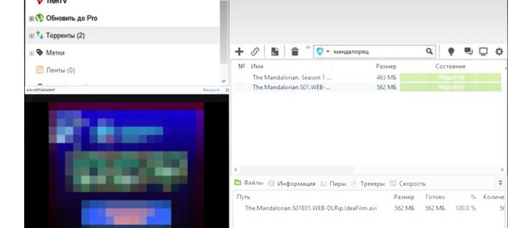 torrents, pirates,
