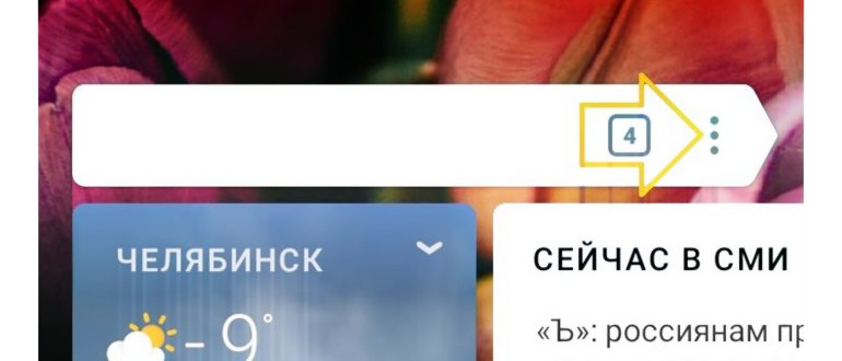 вводим адрес электронной почты и