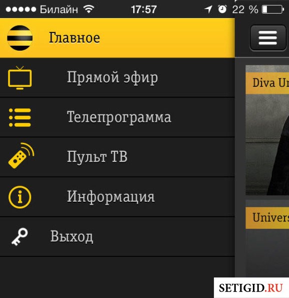 Экран мобильного телефона с приложением Билайн ТВ