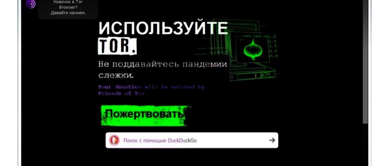 Скриншот 1 программы