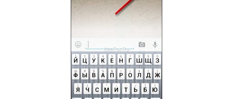 контакты