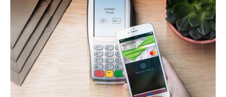 Как добавить карту в Apple Pay – подробная