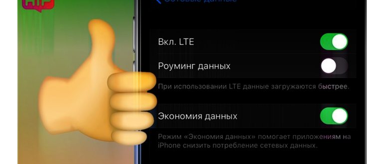 Как на iPhone 5/6 включить