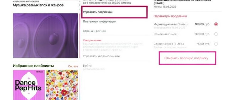 Управление подписками в Apple