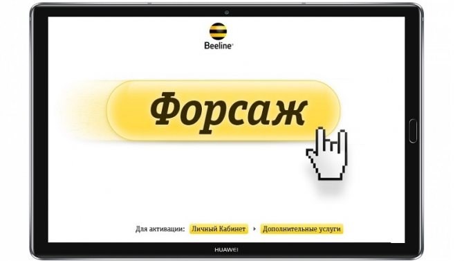 Договор с Билайном